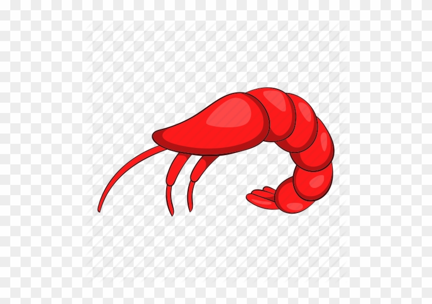 Seafood Drawing Cooked Shrimp Clipart Library Download - Prawn Cartoon #1365887