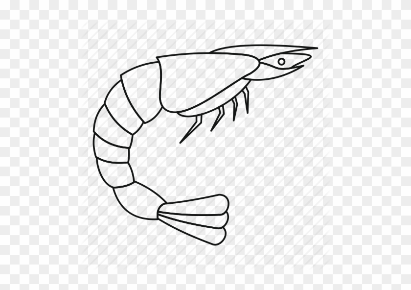 Free Download Black Outline Of Shrimp Clipart Clip - Shrimp Outline #1365933