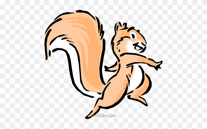 Cartoon Squirrel - Cartoon Squirrel #1365940