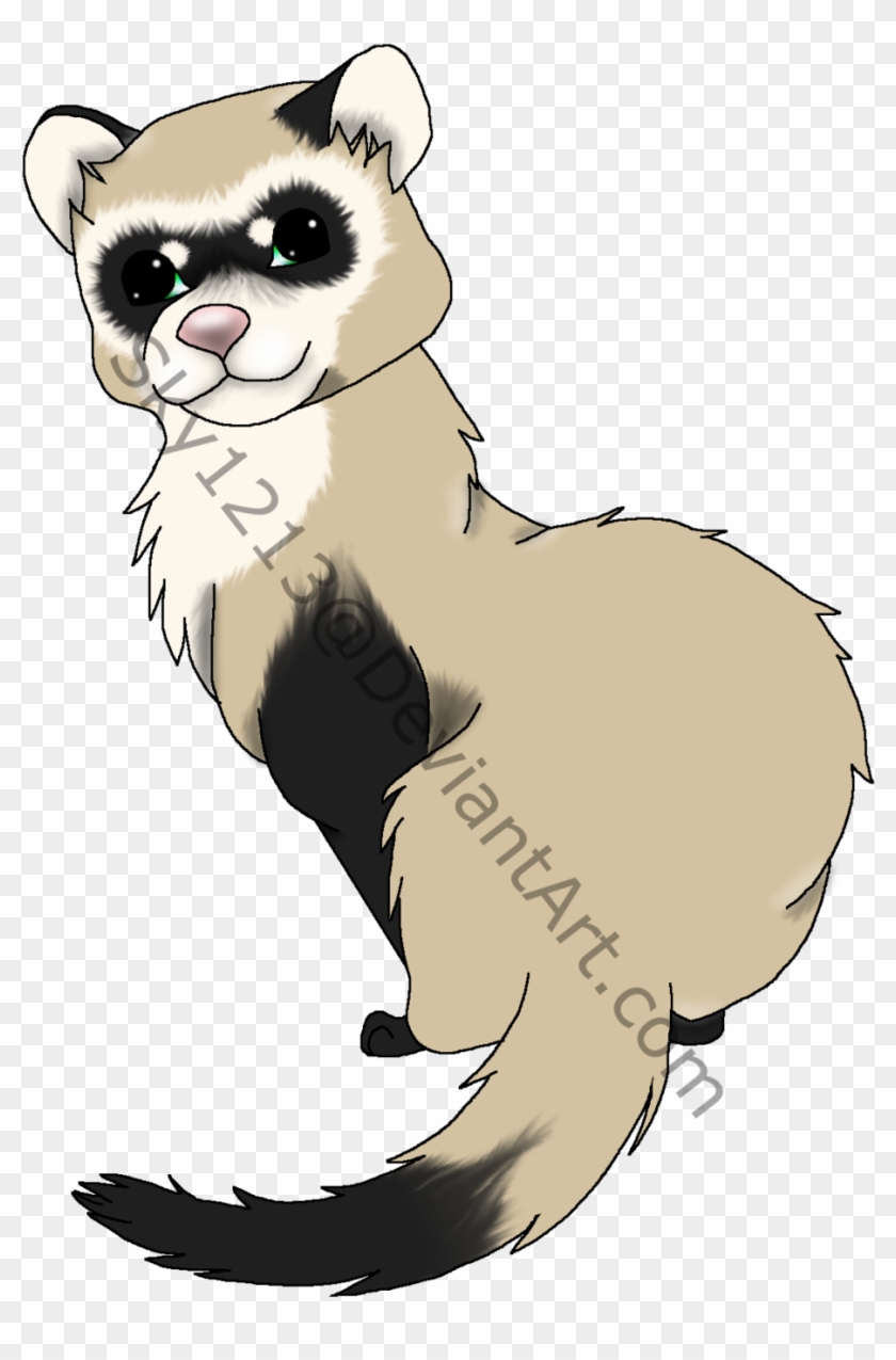 Drawn Ferret Black Footed Ferret - Black Footed Ferret Cartoon #1365973