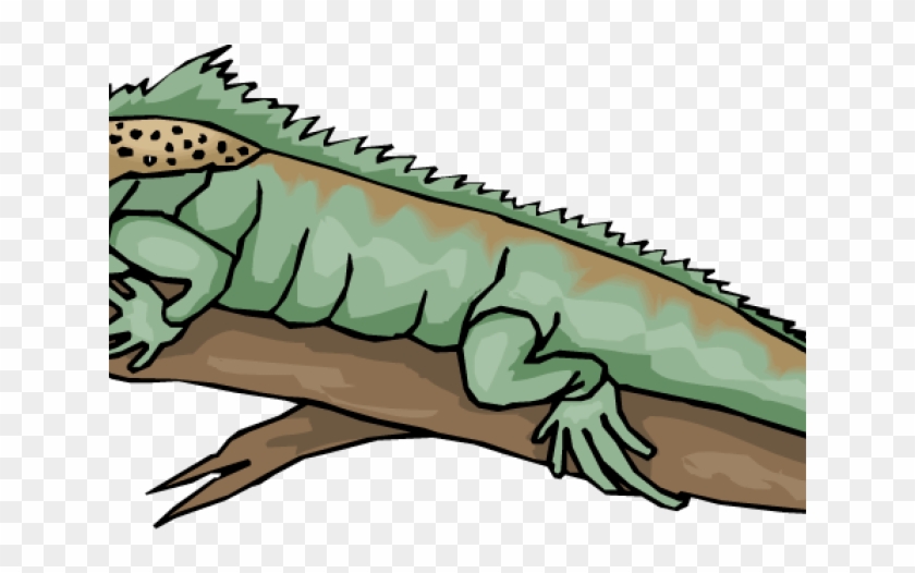 Gecko Clipart Yellow Spotted Lizard - Rainforest Iguana #1366225