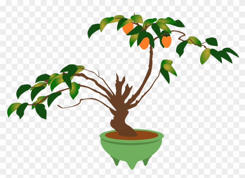 Branch Bonsai Flowerpot Ornamental Plant Houseplant - Tree Pot Clipart #1366303