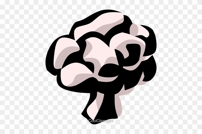 Cauliflower Royalty Free Vector Clip Art Illustration - Illustration #1366460