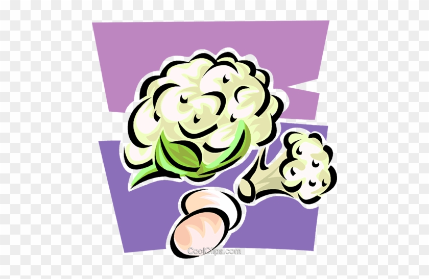 Cauliflower Royalty Free Vector Clip Art Illustration - Cauliflower Royalty Free Vector Clip Art Illustration #1366465