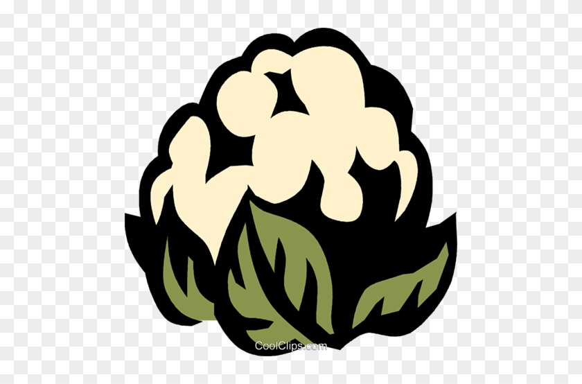 Cauliflower Royalty Free Vector Clip Art Illustration - Sodium #1366467