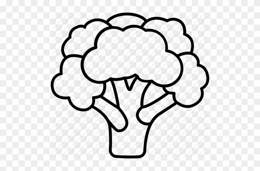 Cauliflower Outline For Free Download On - Broccoli Outlines #1366491