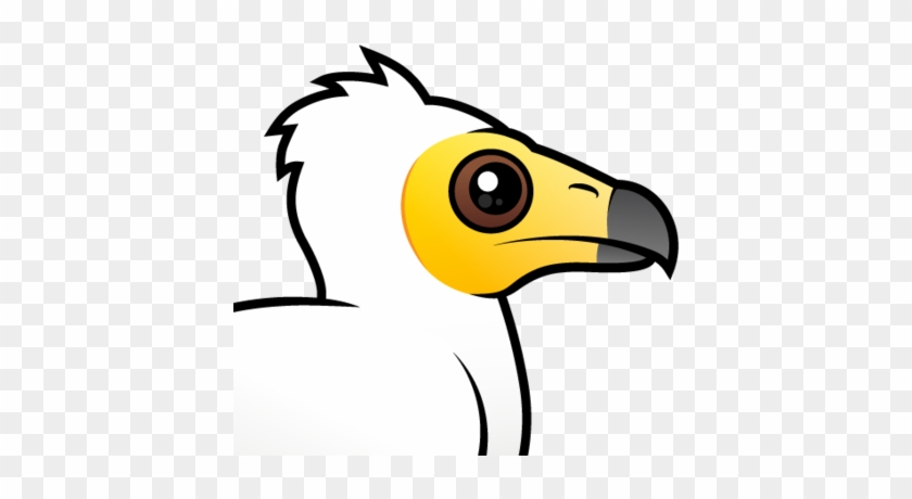 About The Egyptian Vulture - Egyptian Vulture Birdorable #1366623