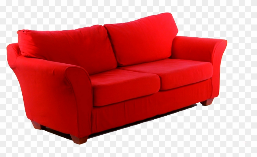 Red Couch Campaign Kicking Off In Birmingham Animal - Couch #1366625