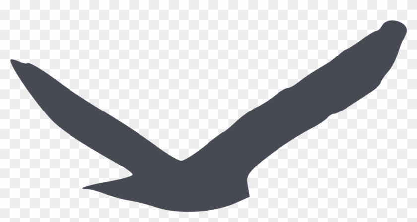Bird Of Prey Silhouette Gulls Beak - Clipart Bird Silhouette #1366626