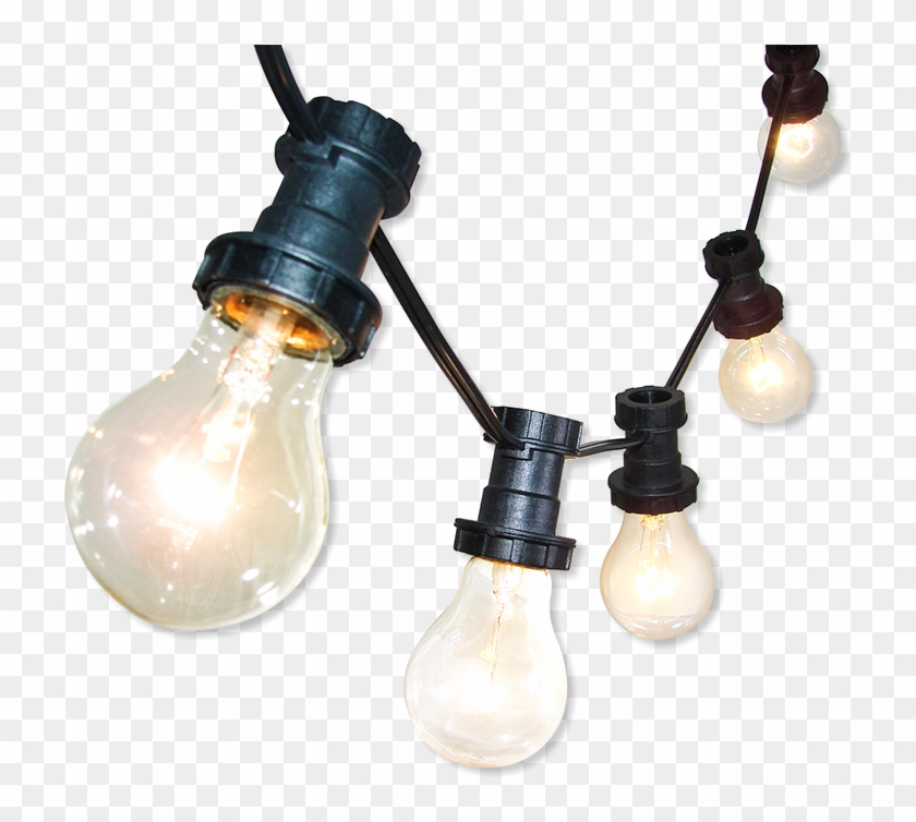 Timbre Luces Lighting System - Lightbulb On String Transparent #1366825