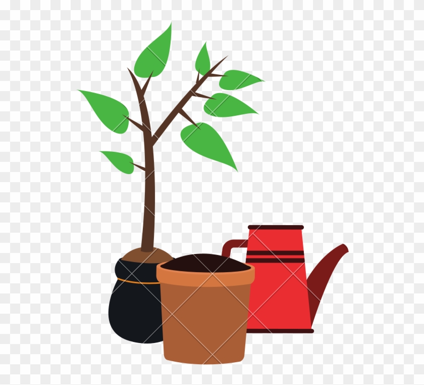 Plant With Pot And Water Can - Can Stock Photo #1367249