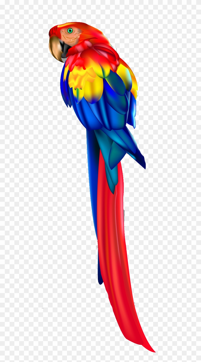 Parrot Vector Png #1367403