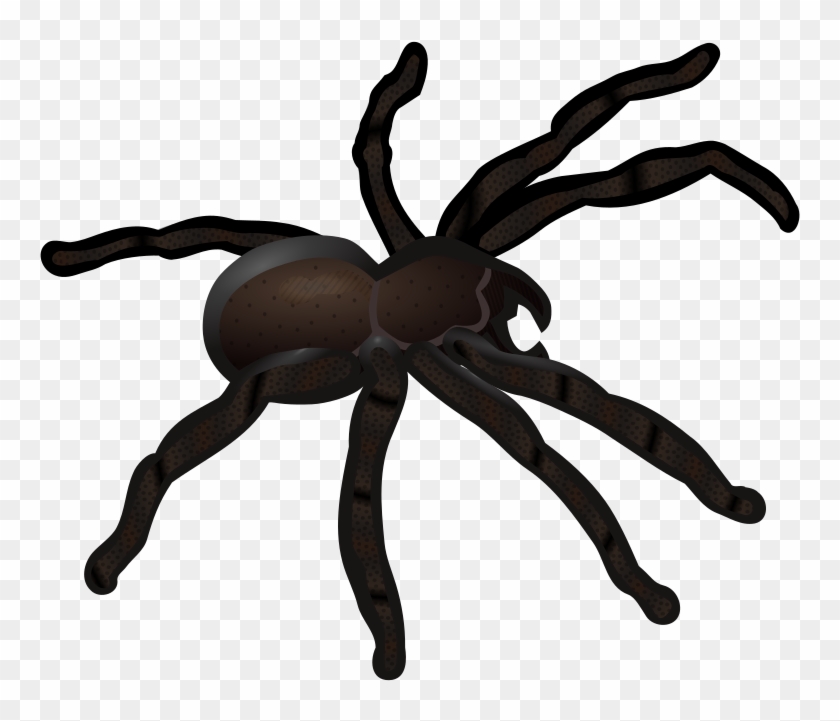 All Photo Png Clipart - Clip Art Spider #1367524