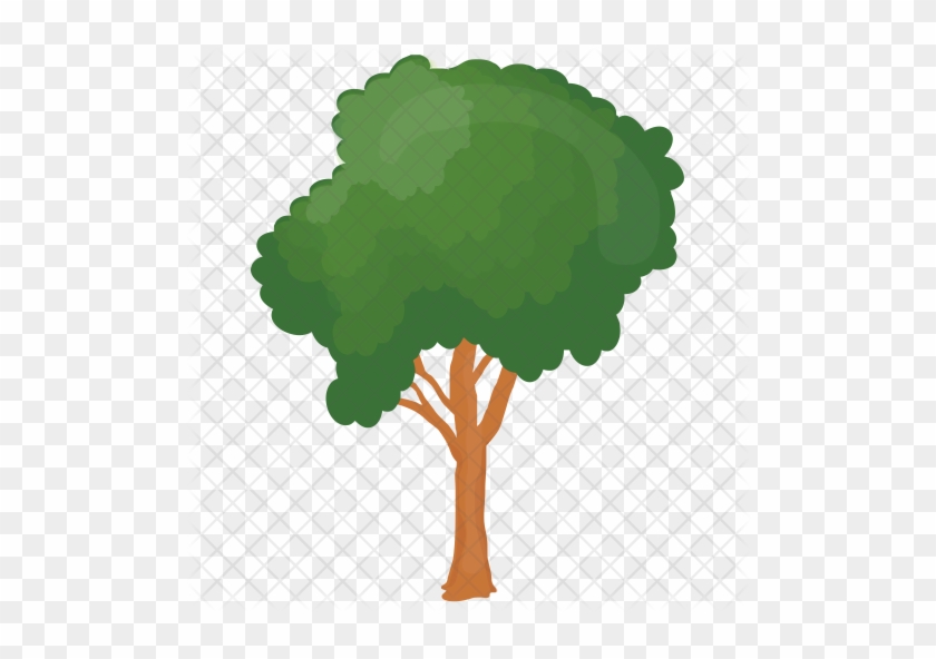 Honey Locust Png - Honey Locust #1367530