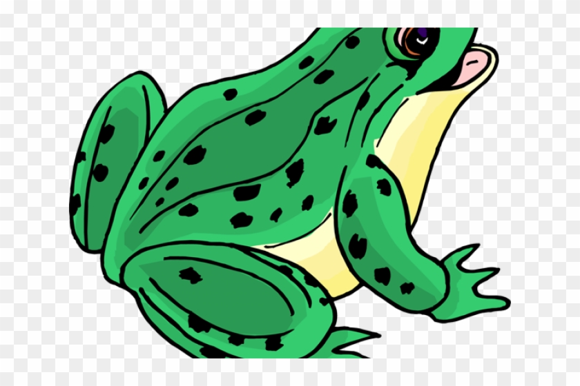 Toad Clipart Speckled Frog - Clipart Picture Of Frog #1367863