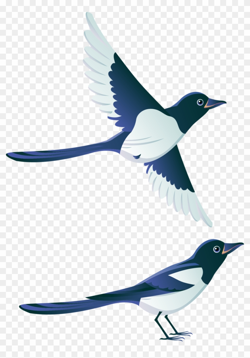 Фото, Автор Soloveika На Яндекс - Transparent Magpie Clipart #1367939