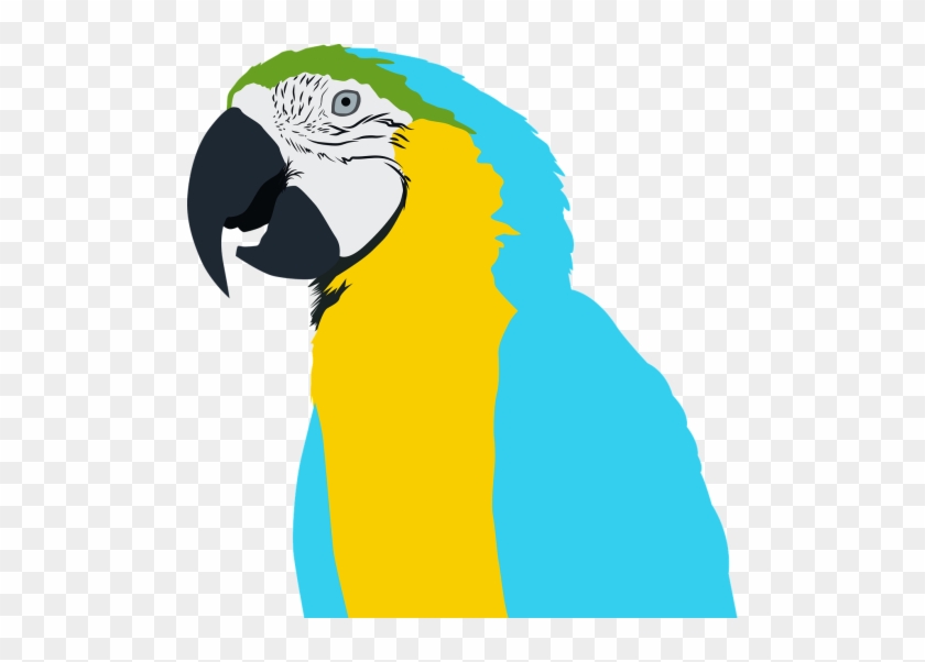 Bird,free - Parrot #1367956
