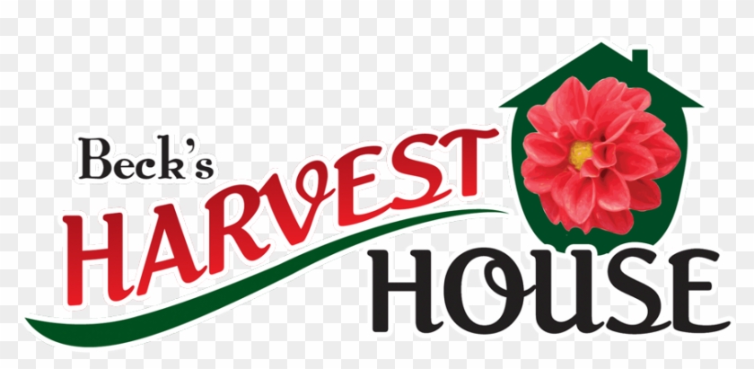 Harvest Clipart Brunch - Rozy'z Hot Shotz #1367961