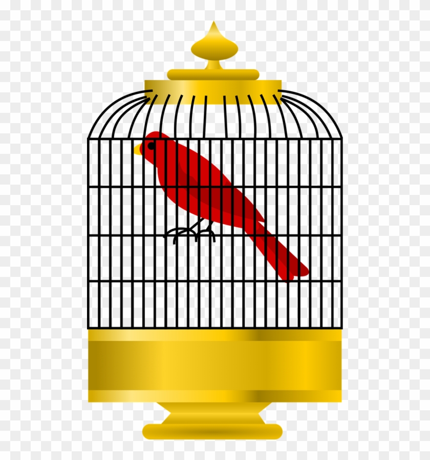 Bird,cell,golden Cage,gold,closed,red Bird,parrot, - Gambar Kandang Burung Kartun #1367962