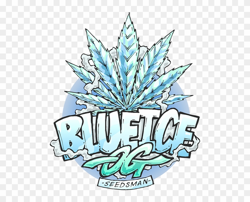 Blue Ice Og Was Created By Crossing An Elite Clone - Blue Ice Og Was Created By Crossing An Elite Clone #1368016