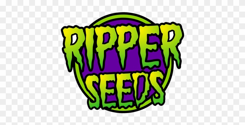 From Ripper Seeds - Ripper Seeds Png #1368027