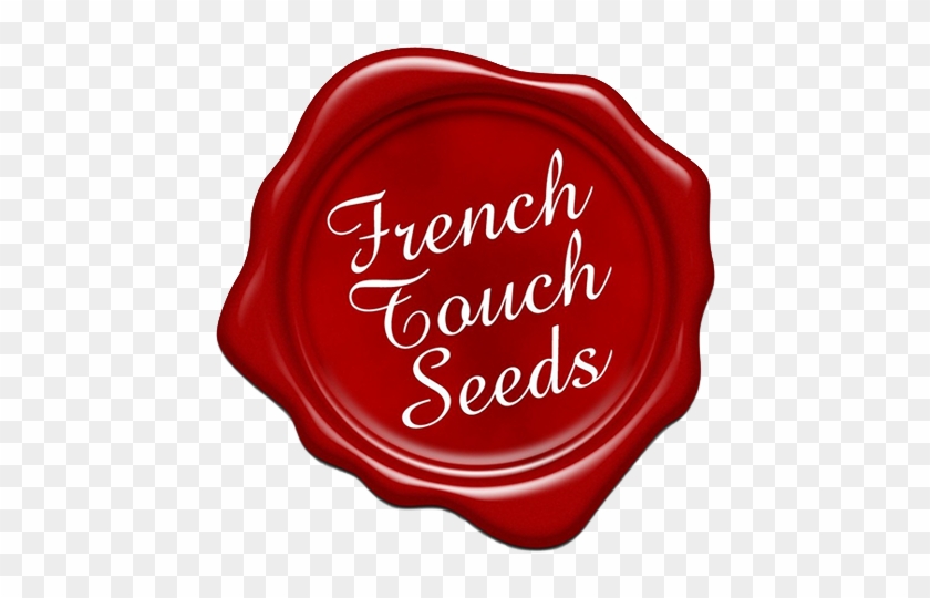 French Touch Seeds - Jesus, You Are Quite The Fellow #1368048