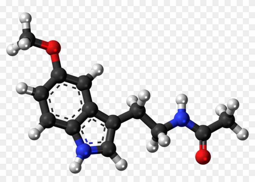 The Science Of Optimal Sleep - Amine Compounds (chemical Compounds) #1368089