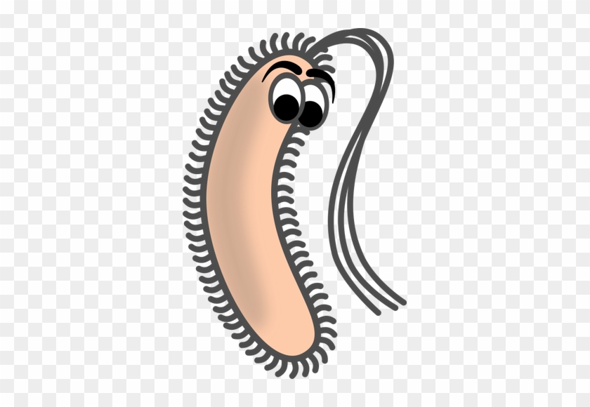 Funny Bacillus Science Fair, Prokaryote Cell, Biology, - Bacillus Clip Art #1368597