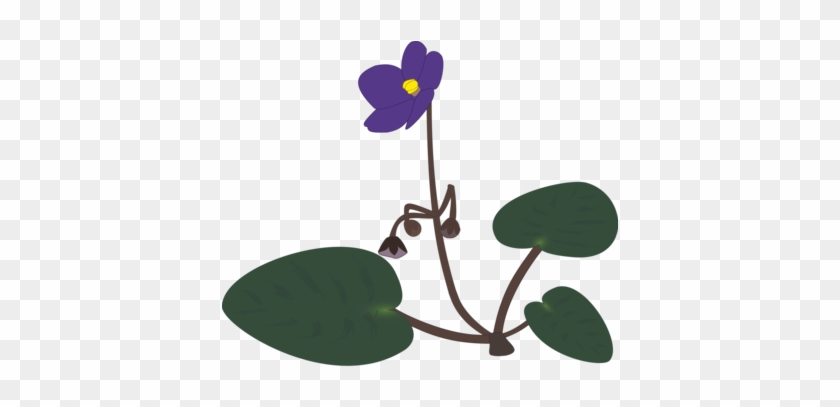 Violet Purple T-shirt Flower Lilac - Saintpaulia Png #1368648