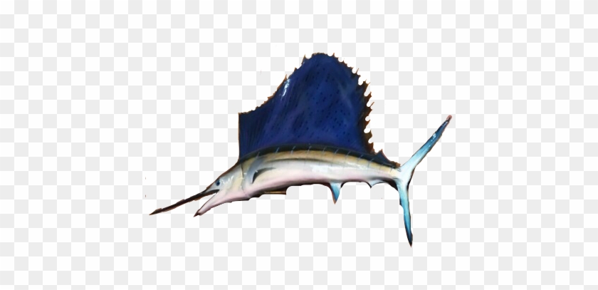 Atlantic Blue Marlin #1368948