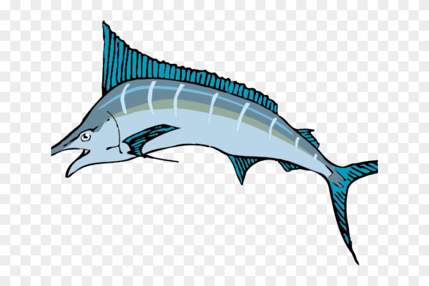 Sailfish Clipart Billfish - Dibujo De Peces Cartilaginosos #1368966