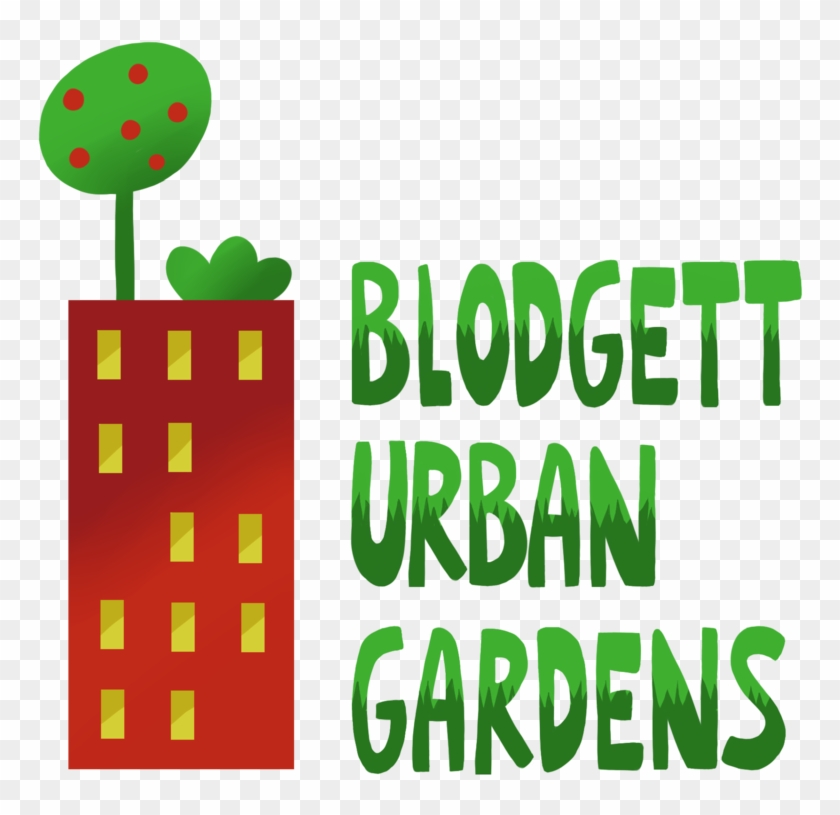 Sweet Potato Blodgett Urban - Blodgett Urban Gardens #1369053