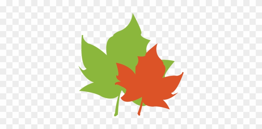 Leaf Pack Network® Is An Initiative Of Stroud™ Water - Maple Leaf #1369233