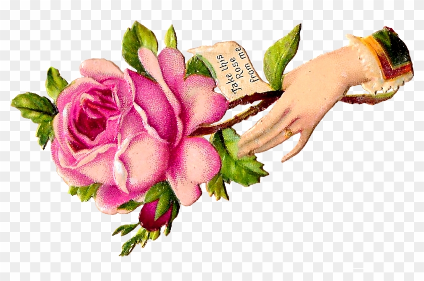 Flower Rose Pink Floral Craft Supply Digital Download - Rose #1369281