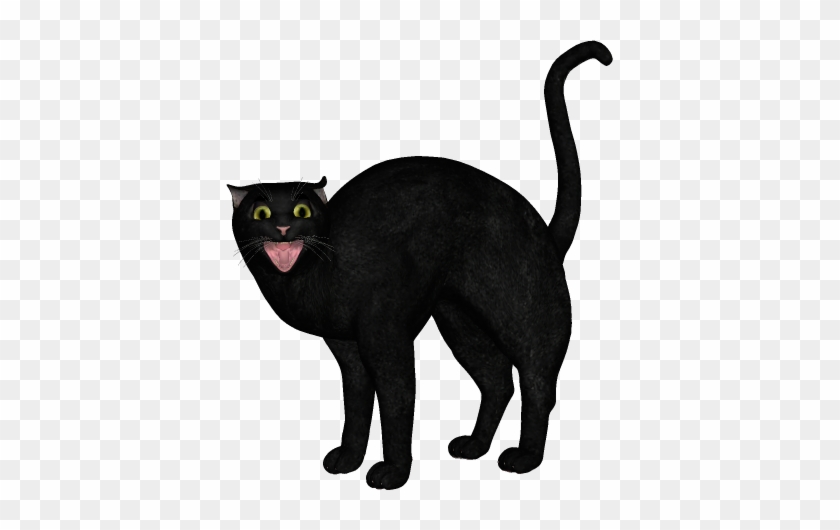 Halloween Scary Cat - Black Cat Silhouette #1369377