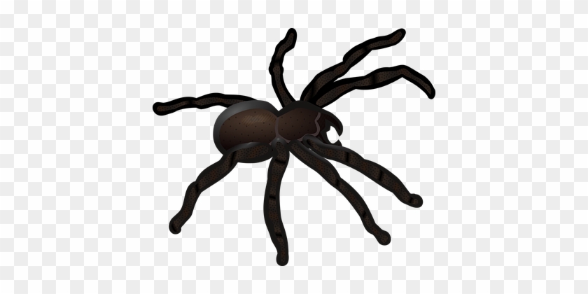 Arachnid Clipart Friendly Spider - Clip Art Spider #1369469