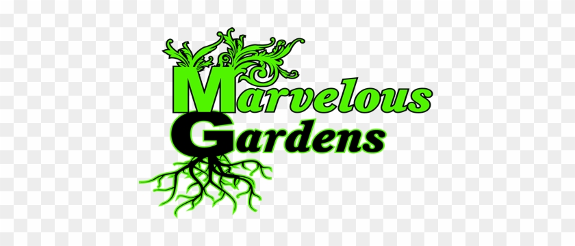 Landscaping & Lawn Care For Port Lavaca, Port O'connor - Texas #1369928
