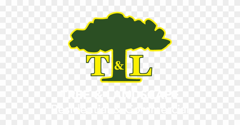 T&l Logo Green - Tl #1369938