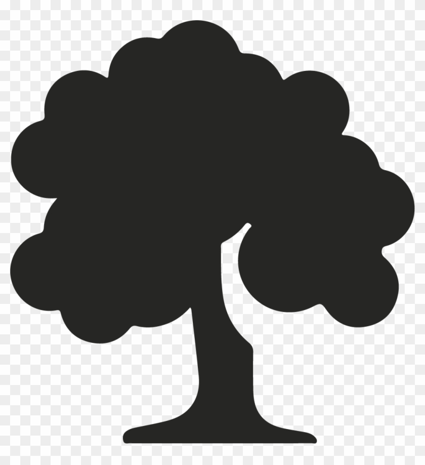 Tree Care - Tree Icon Png #1369987