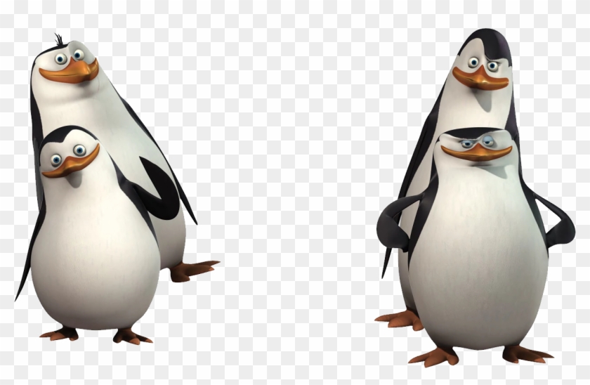 Madagascar Penguins Png - Penguin Of Madagascar Png #1370055