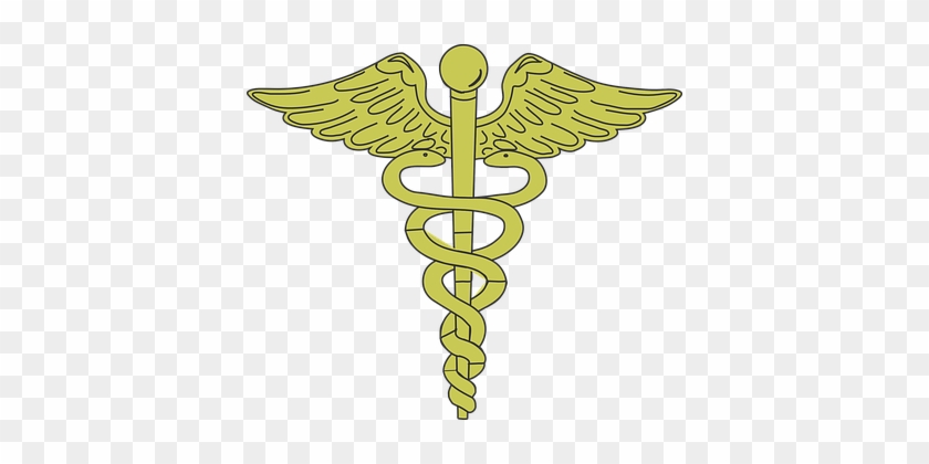 Aesculapian Staff 306956 - Caduceus Staff #1370090