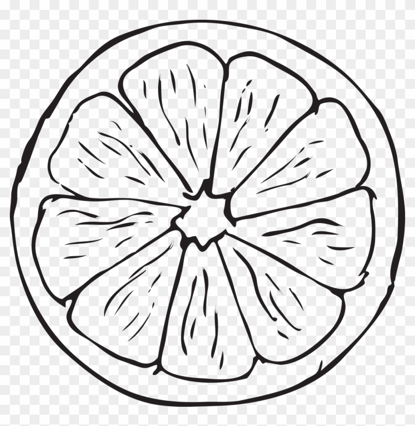 Orange Drawing 16 Clipart Of Black And - Drawing #1370119