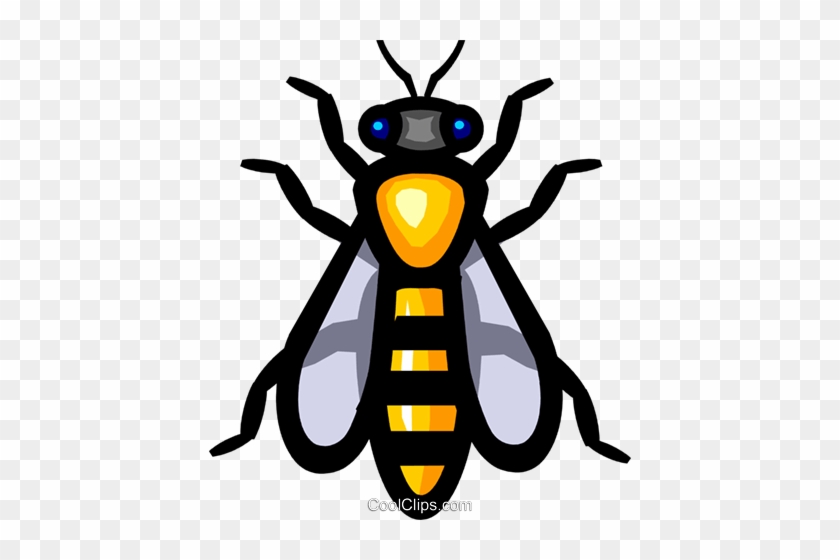 Insect Clipart Wasp Clipart Freeuse Library - Molecular Genetics In Relation To Evolution #1370156
