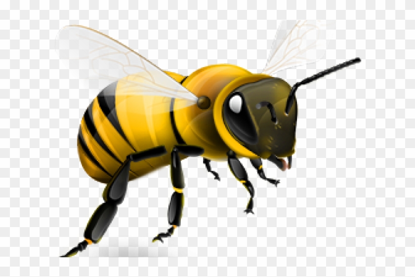 Wasp Clipart Madhumakhi - Bee Png Icon #1370159