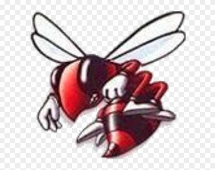 The Chillicothe Hornets Defeat The Pembroke Hill Raiders - Honeybee #1370166