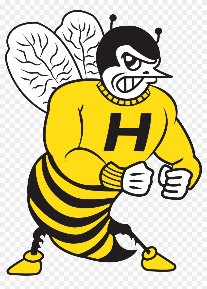 Hornet - Harvard Hornets #1370168