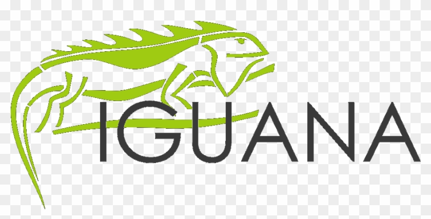 Iguana Design - Iguana Design #1370571