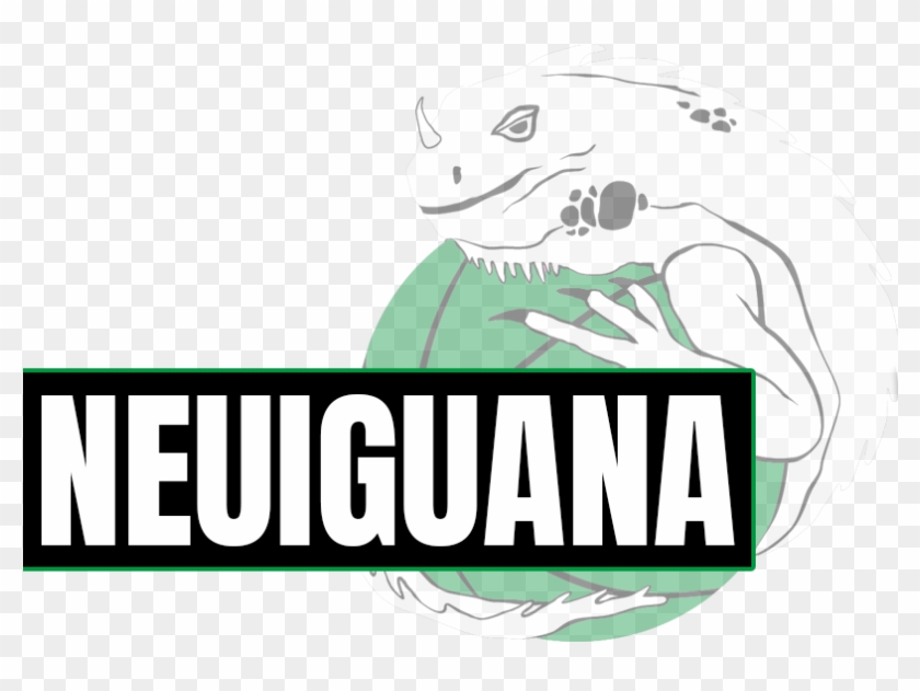 Neuzugang Bei Den Iguanas - Teziutlán #1370575