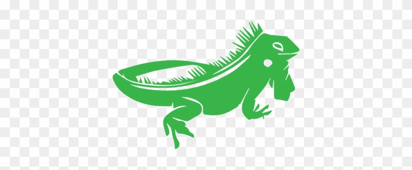 Svg Transparent Stock Top Species From Chameleons - Iguana Cartoon Png #1370585