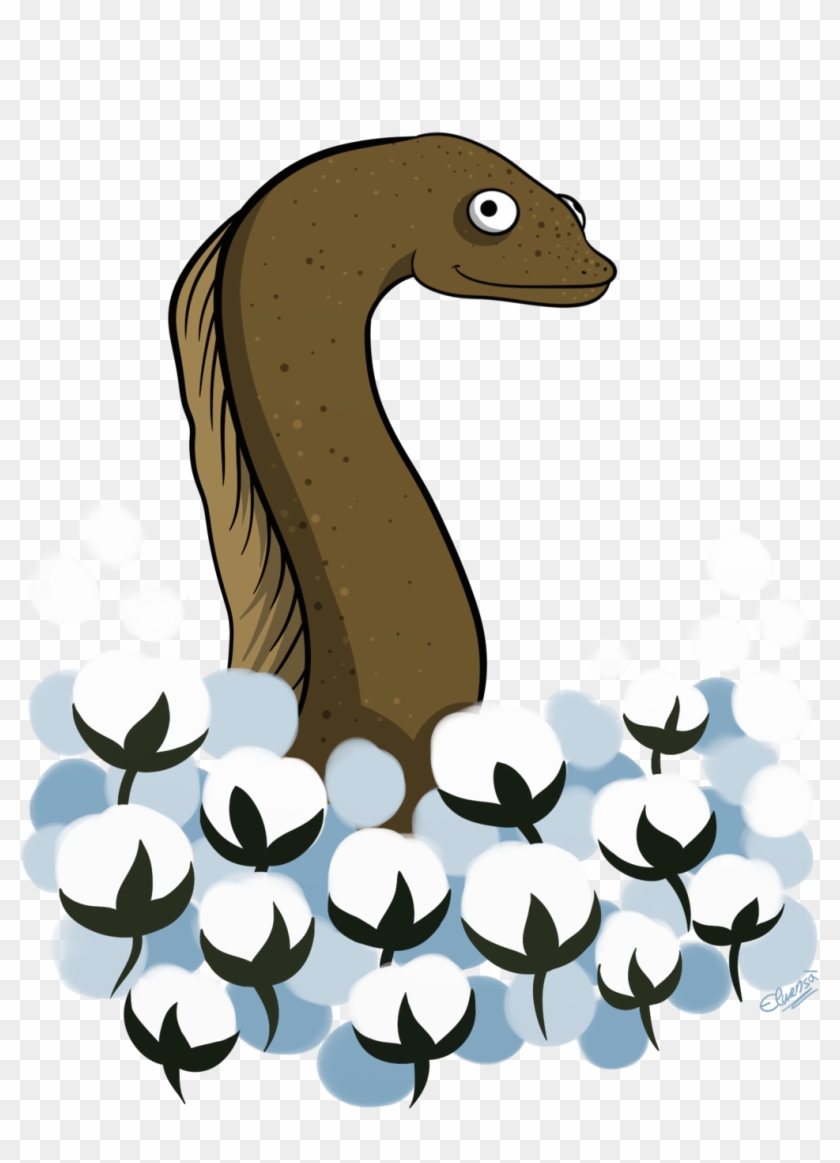 Cotton Clipart Cotton Field - Eel #1370871